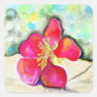 Sticker Carré Aquarelle de fraise rose