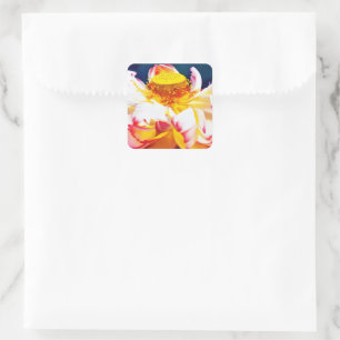 Sticker Carré Aquarelle en fleurs de lotus rose Zen
