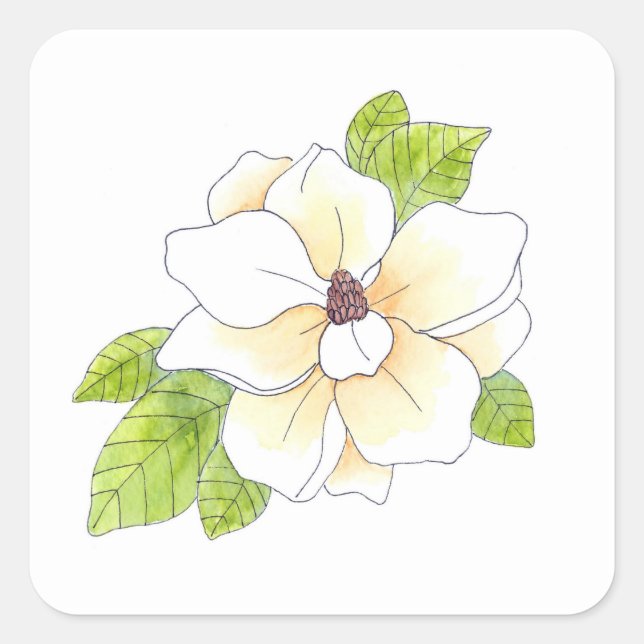 Sticker Carré Aquarelle et fleur de stylos Magnolia (Devant)