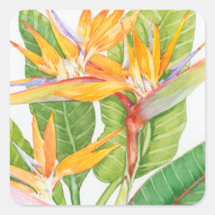 Sticker Carré Aquarelle exotique de fleurs