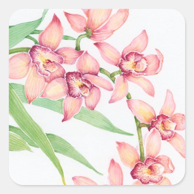 Sticker Carré Aquarelle Fleurs roses (Devant)