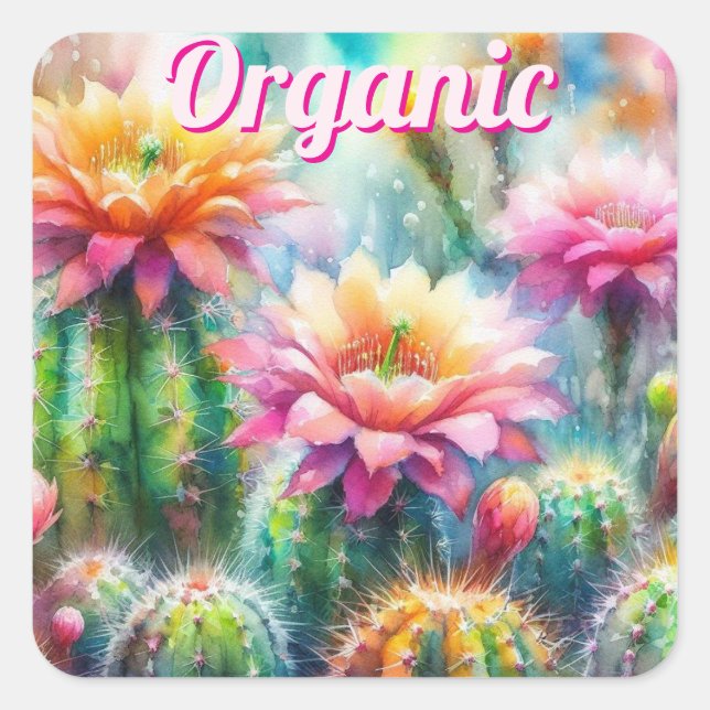 Sticker Carré Aquarelle Flower Cactus Succulents (Devant)