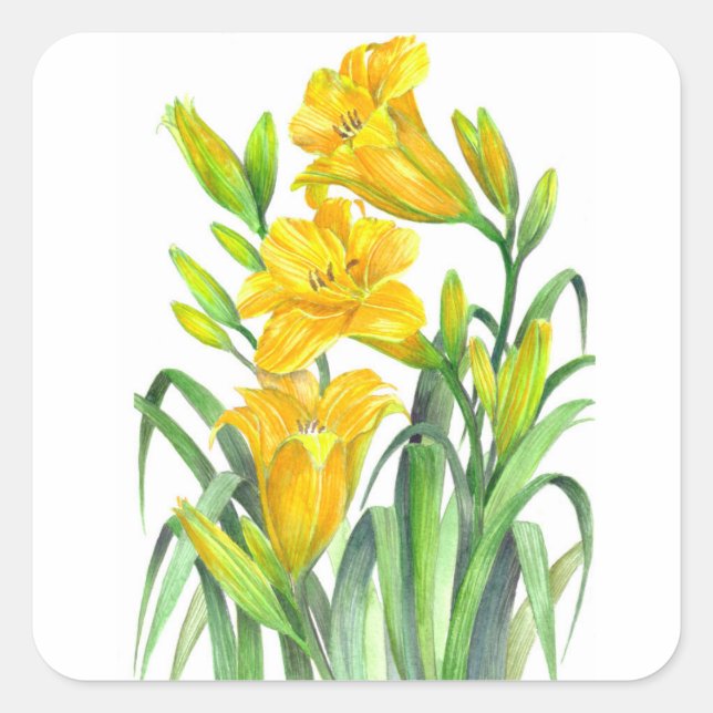 Sticker Carré Aquarelle Jaune Lys Floral Illustration (Devant)
