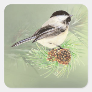 Sticker Carré Aquarelle mignonne Oiseau de poulet dans le pin