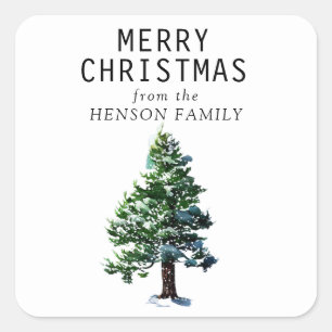 Sticker Carré Aquarelle Pine Arbre Artiste Famille Noël