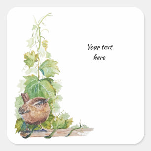 Sticker Carré Aquarelle Troglodyte Oiseau Vignoble Raisins Feuil