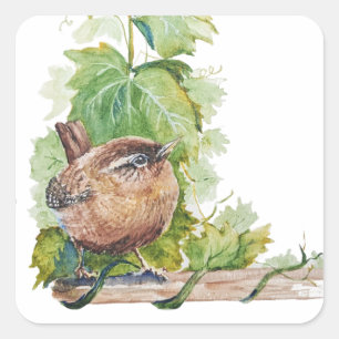 Sticker Carré Aquarelle Troglodyte Oiseau Vignoble Raisins Feuil