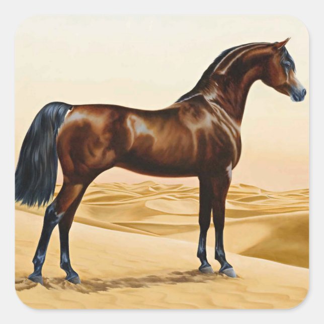Sticker Carré Arabian Horse - William Barraud (Devant)