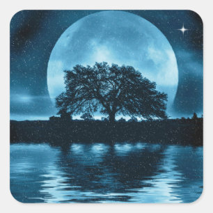 Sticker Carré Arbre de chêne et solstice de neige