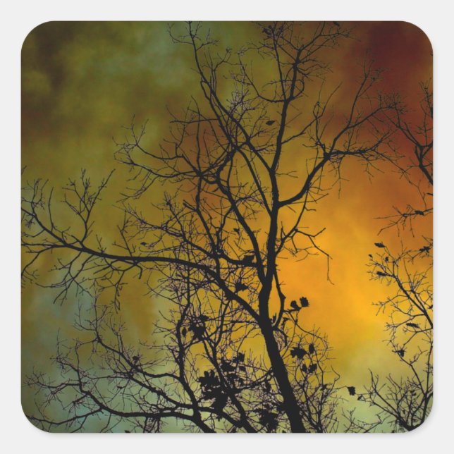 Sticker Carré arbre un matin orageux (Devant)