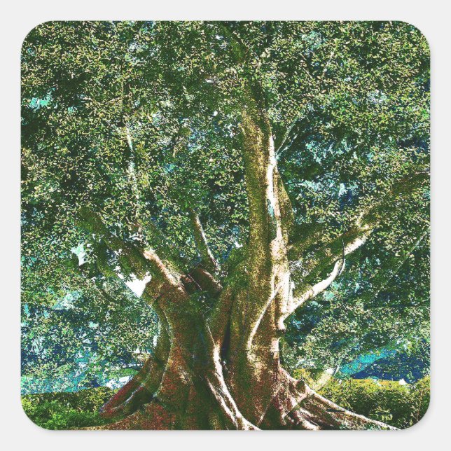 Sticker Carré Arbre vert de vie (Devant)