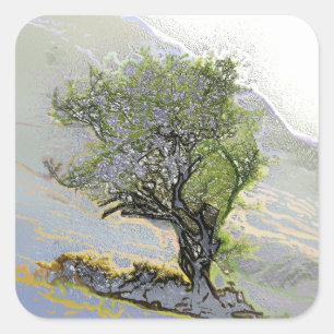 STICKER CARRÉ ARBRES