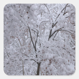 Sticker Carré Arbres à neige