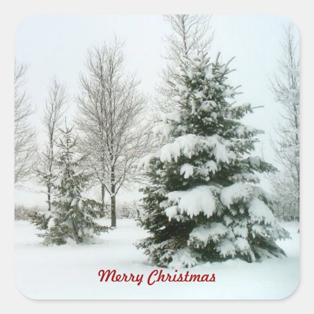 Sticker Carré Arbres à neige, Joyeux Noël (Devant)
