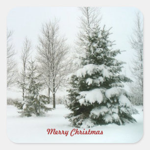 Sticker Carré Arbres à neige, Joyeux Noël