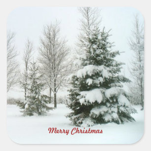 Sticker Carré Arbres à neige, Joyeux Noël