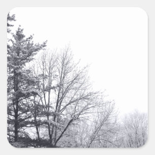 Sticker Carré Arbres couverts de neige : Horizontal
