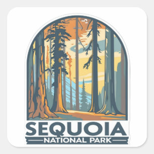 Sticker Carré Arbres géants de Séquoia du parc national de Séquo