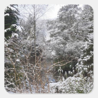 Arbres neigeux