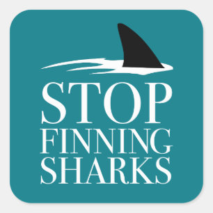 STICKER CARRÉ ARRÊTER LA RECHERCHE DES REQUINS