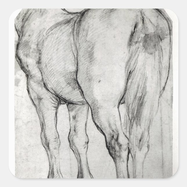 Sticker Carré Arrière du cheval (Devant)