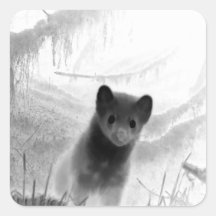 Art animalier de la mystérieuse martre du pin