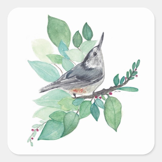 Sticker Carré Art Nuthatch à poitrine blanche (Devant)