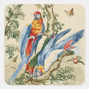 Sticker Carré Art Tropical Antique de Perroquet et Papillon de G