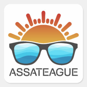 Sticker Carré Assateague Island Maryland Virginie Lunettes de so