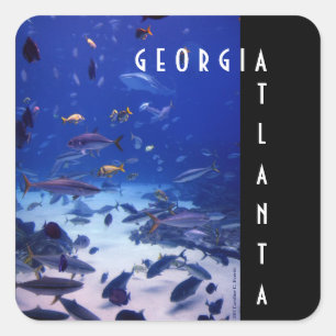 Sticker Carré Atlanta la Géorgie