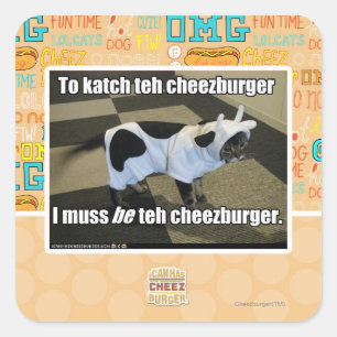 Sticker Carré Au katch le cheezburger