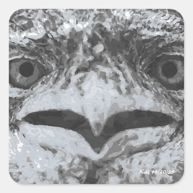 Sticker Carré Australia Wildlife, Nature's Curmudgeon, Animal (Devant)