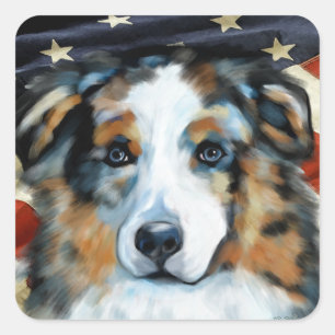 STICKER CARRÉ AUSTRALIAN SHEPHERD