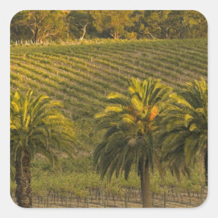 Sticker Carré Australie, Australie-Méridionale, Barossa Valley,