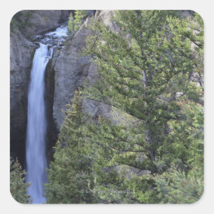 Sticker Carré Automnes de tour, parc national de Yellowstone,
