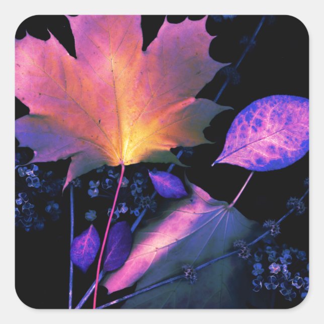 Sticker Carré Autumn Leaves (Devant)