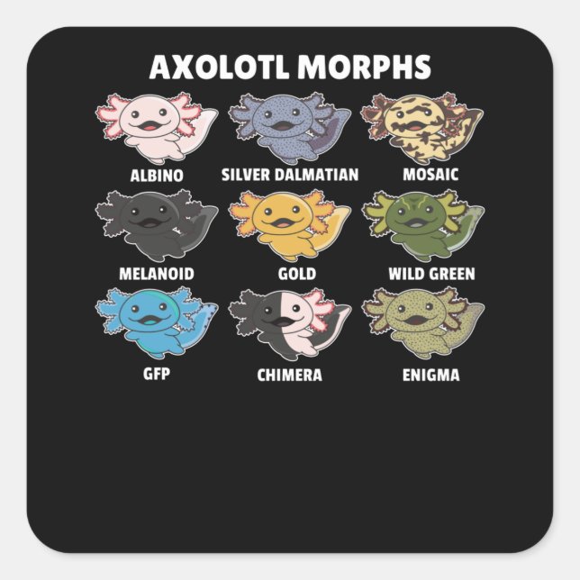 Sticker Carré Axolotls Du Monde Sweet Animaux Axolotl (Devant)