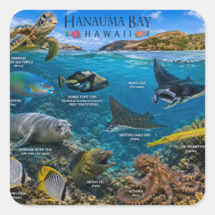 Sticker Carré Baie de Hanauma Hawaii