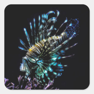 Sticker Carré Baignades de poissons-lions