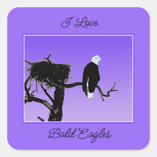 Sticker Carré Bald Eagle at Sunset - Art original de la faune
