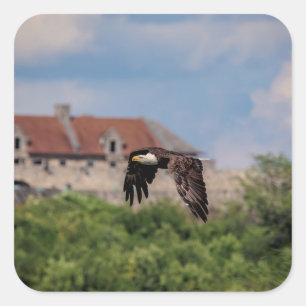 Sticker Carré Bald Eagle en passant par Fort Ticondéroga
