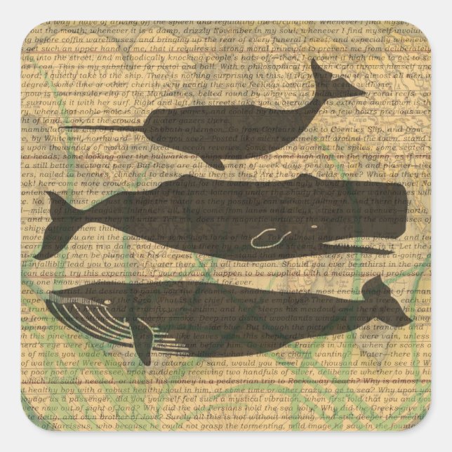 Sticker Carré Baleine antique Vie marine (Devant)