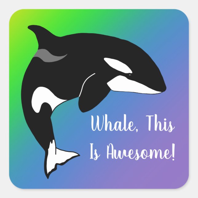 Sticker Carré Baleine tueuse Orca personnalisée (Devant)