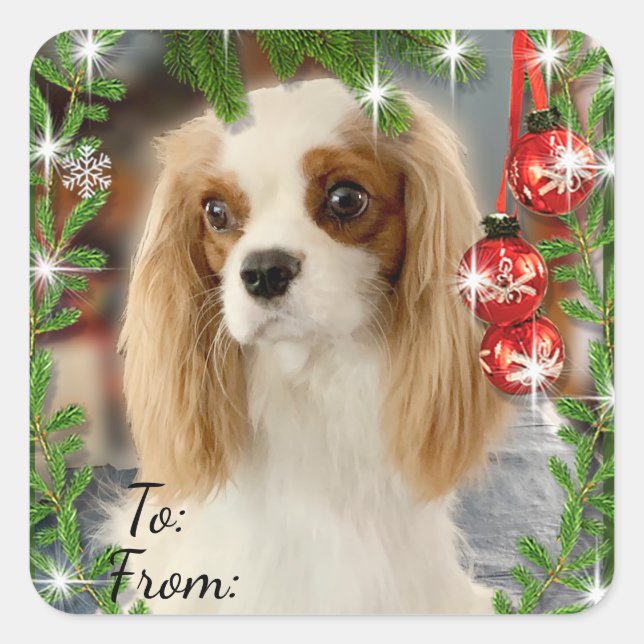 Sticker Carré Balise cadeau de Noël Blenheim Cavalier (Devant)