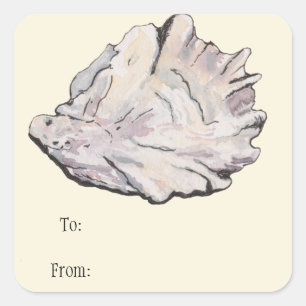 Sticker Carré Balise cadeau d'huître aquarelle