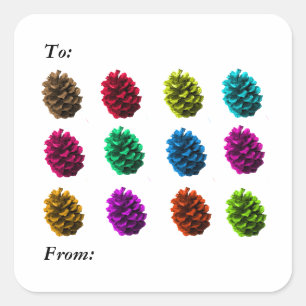 Sticker Carré Balise cadeau Pinecones de couleur