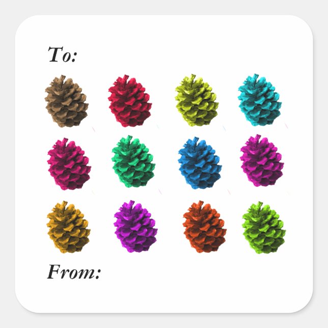 Sticker Carré Balise cadeau Pinecones de couleur (Devant)