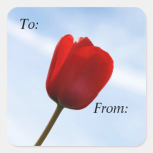 Sticker Carré Balise cadeau Red Tulip