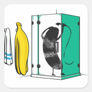 Sticker Carré Banane