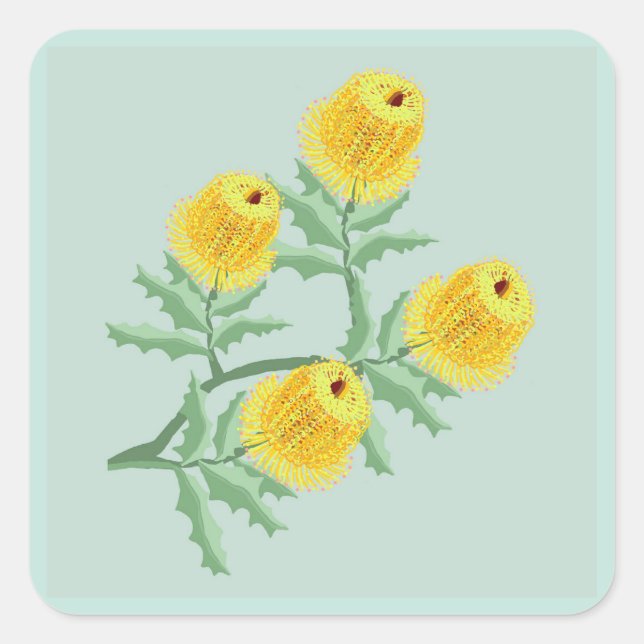 Sticker Carré Banksia (Devant)